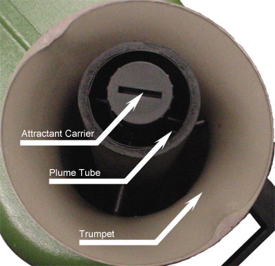 Trumpet/Plume Tube