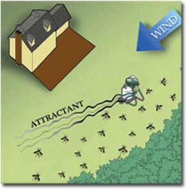 Placement example